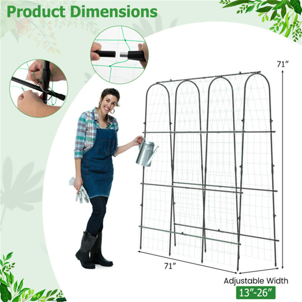 71" x 71" Garden Arched Trellis