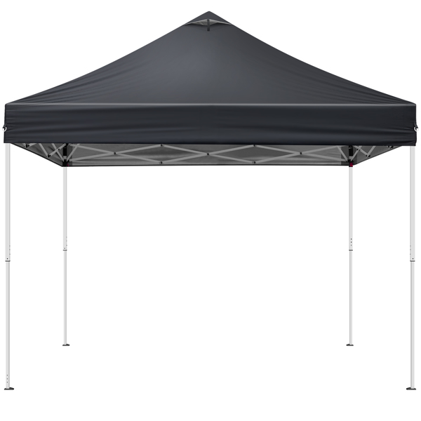 10x10FT pop up Canopy Tent with 2 sidewalls, Outdoor Canopy Tent for Parties