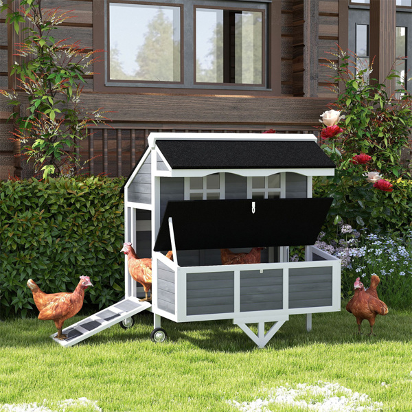  Chicken Coop 