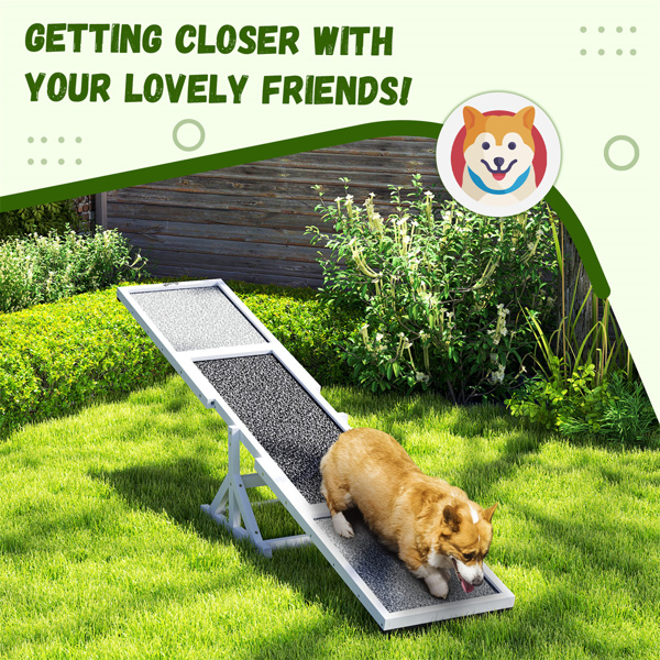 Dog Agility Ramp 、Pet Seesaw 