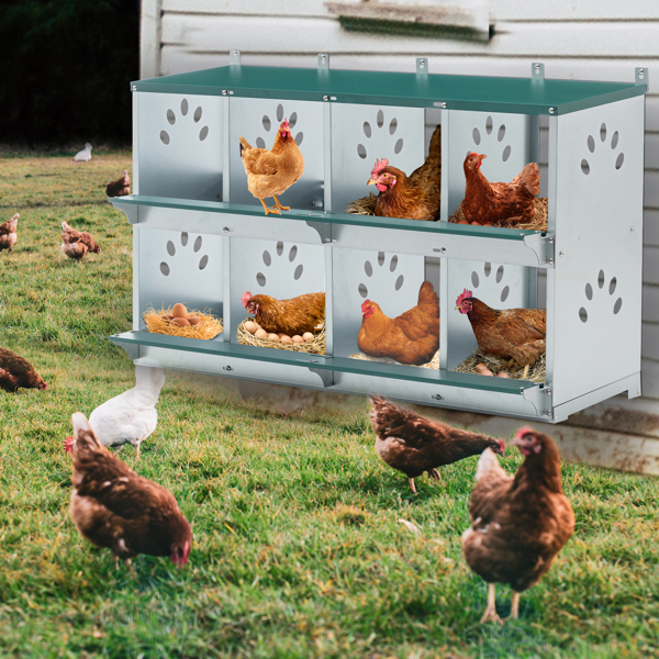 8 Room Metal Chicken Nesting Boxes 8 Compartment Egg Coop