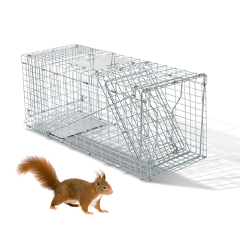 32\\" Live Animal Cage Trap, Heavy Duty Folding Raccoon Trap, Humane Cat Trap with Handle for Rabbits, Stray Cats, Squirrels, Raccoons, Skunk, Mole, Groundhogs and Opossums