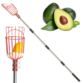 13FT Fruit Picker Tool, Stainless Steel Adjustable Fruit Picker with Basket, Citrus Orange Mango Avocado Fig Acorn Pear Pomelo Chery Lemon Picker