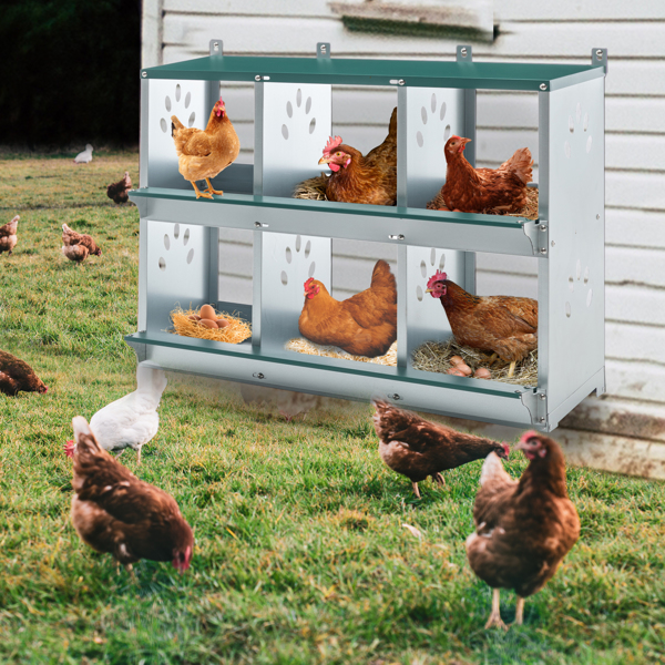 6 Room Metal Chicken Nesting Boxes 6 Compartment Egg Coop