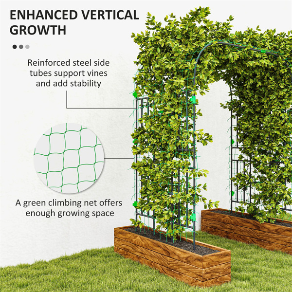 Garden Bed、 Galvanized Planter，Tomato Cage