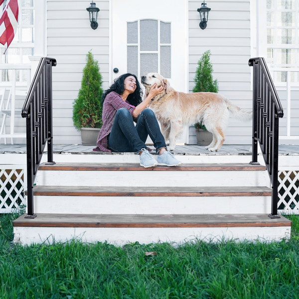 Matte Black Outdoor 2-Step Iron Handrail