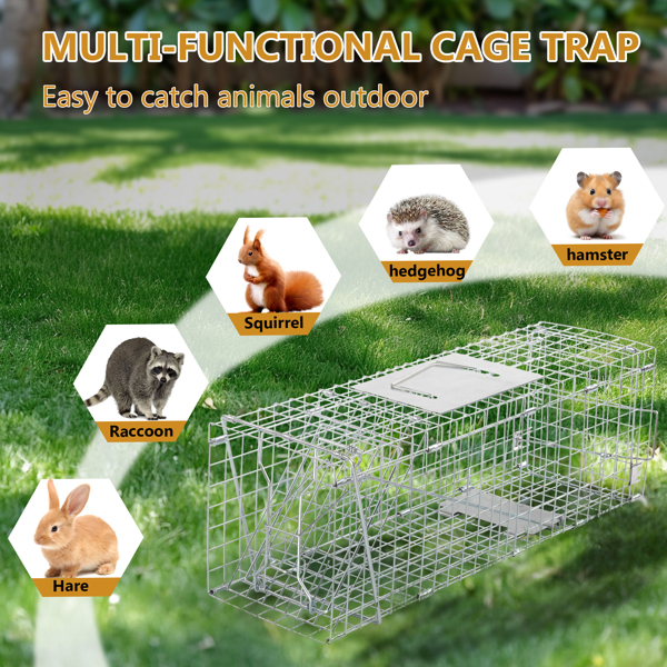 24" Live Animal Cage Trap, Heavy Duty Folding Raccoon Trap, Humane Cat Trap with Handle for Rabbits, Stray Cats, Squirrels, Raccoons, Skunk, Mole, Groundhogs and Opossums