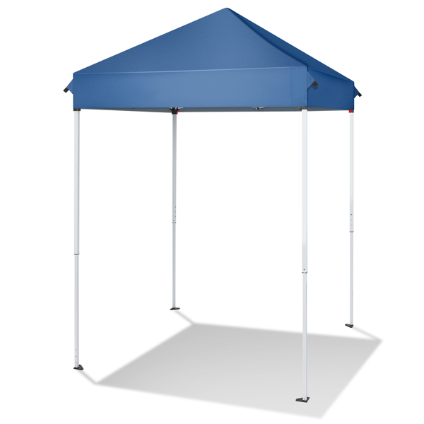 5'x5' Pop Up Canopy