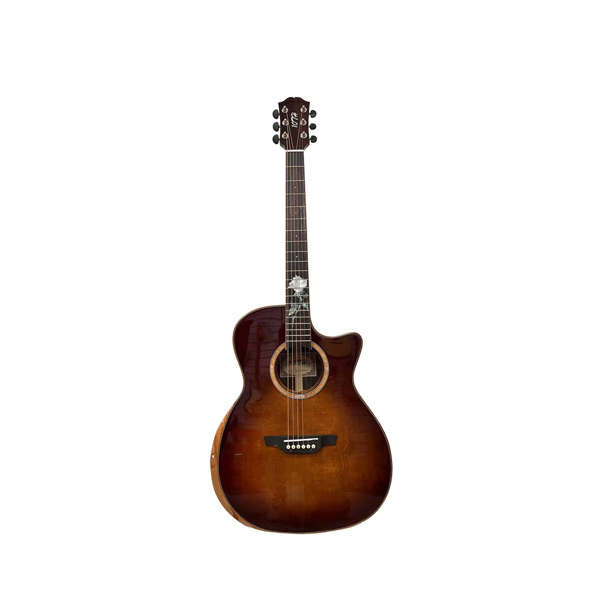 6-string Beginner Solid Spruce classic acoustic guitar, Rosewood fretboard (real shell carved rose), colored finish, right