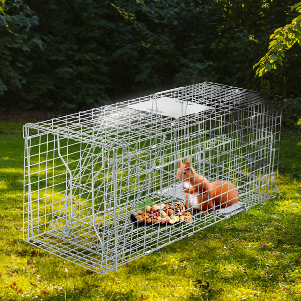 32" Live Animal Cage Trap, Heavy Duty Folding Raccoon Trap, Humane Cat Trap with Handle for Rabbits, Stray Cats, Squirrels, Raccoons, Skunk, Mole, Groundhogs and Opossums