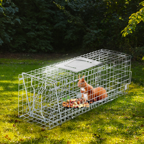 24" Live Animal Cage Trap, Heavy Duty Folding Raccoon Trap, Humane Cat Trap with Handle for Rabbits, Stray Cats, Squirrels, Raccoons, Skunk, Mole, Groundhogs and Opossums