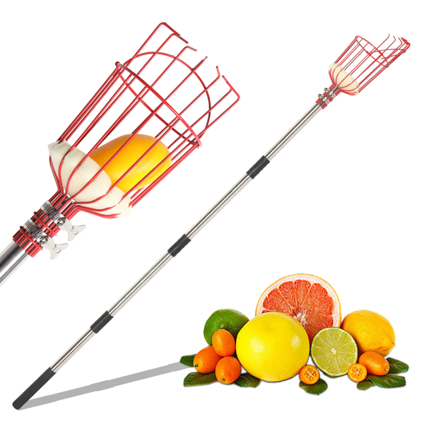 13FT Fruit Picker Tool, Stainless Steel Adjustable Fruit Picker with Basket, Citrus Orange Mango Avocado Fig Acorn Pear Pomelo Chery Lemon Picker