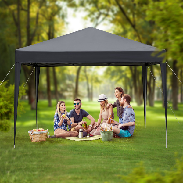 10'x10' Pop Up Canopy