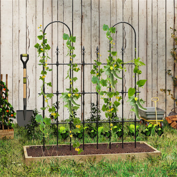 Outdoor Arch Trellis for Climbing Plants 58 x 73 Inch 