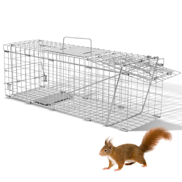 24" Live Animal Cage Trap, Heavy Duty Folding Raccoon Trap, Humane Cat Trap with Handle for Rabbits, Stray Cats, Squirrels, Raccoons, Skunk, Mole, Groundhogs and Opossums