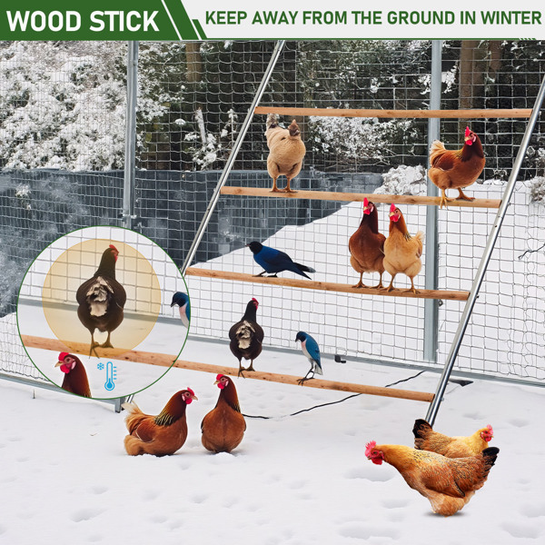 104*143cm  Outdoor chicken perch