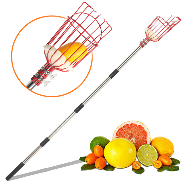 13FT Fruit Picker Tool, Stainless Steel Adjustable Fruit Picker with Basket, Citrus Orange Mango Avocado Fig Acorn Pear Pomelo Chery Lemon Picker