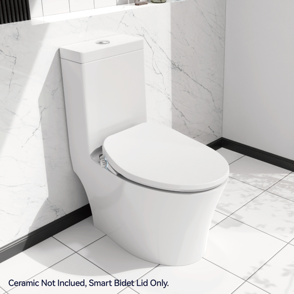 Electric Bidet Toilet Seat Adjustable Heated Seat with Dual Control Mode Elongated Smart Toilet Seat Portable Bidet with Nozzle Spray and Automatic Toilet Seat Closer[Unable to ship on weekends]