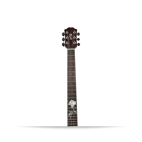 6-string Beginner Solid Spruce classic acoustic guitar, Rosewood fretboard (real shell carved rose), colored finish, right