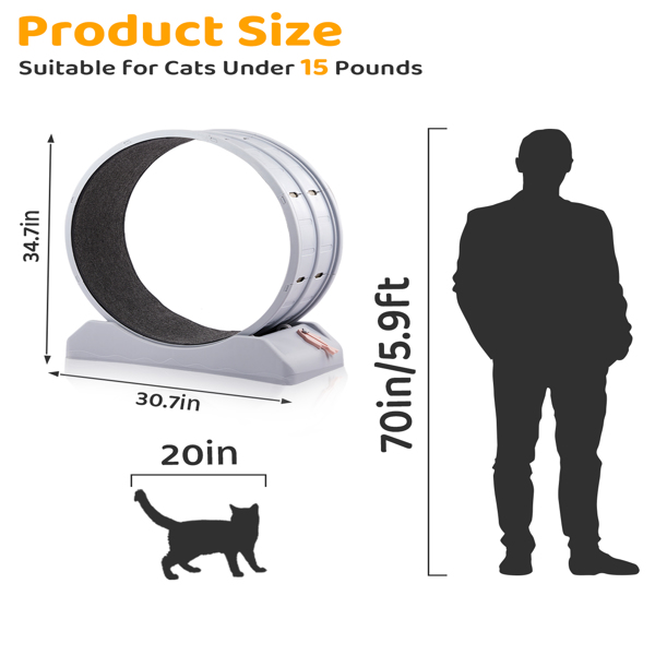 Cat Exercise Wheel, 31 inch Cat Wheels for Indoor Cats, Cat Treadmill Wheel Exerciser with Carpeted Runway, Plastic Cat Running Wheel for Cats Daily Exercise and Weight Loss, Gray