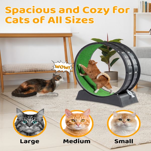 Cat Exercise Wheel, 31 inch Cat Wheels for Indoor Cats, Cat Treadmill Wheel Exerciser with Carpeted Runway, Plastic Cat Running Wheel for Cats Daily Exercise and Weight Loss, Black