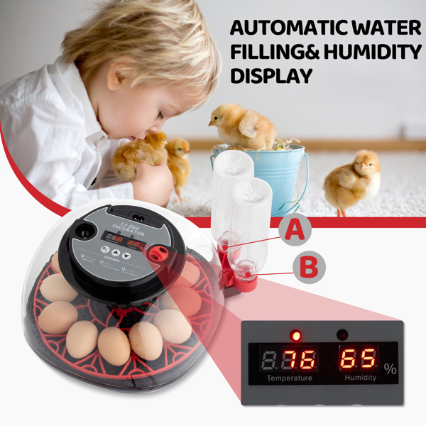 US 12 Egg Incubator with Automatic Egg Turning, Temperature and humidity Control,Auto Water Addition, LED Egg Candler, for Hatching Chickens,Ducks,Geese,Birds,pigeons and Quail Eggs