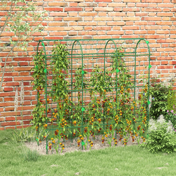 17" x 72" x 72"  Outdoor Metal Garden Trellis with Climbing Net 