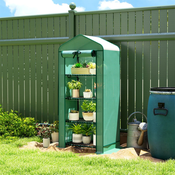   4 Tier Mini Small Greenhouse  Green