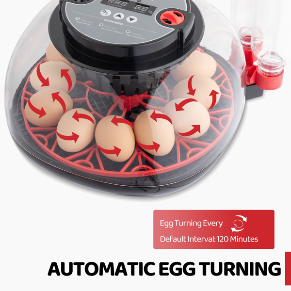 US 12 Egg Incubator with Automatic Egg Turning, Temperature and humidity Control,Auto Water Addition, LED Egg Candler, for Hatching Chickens,Ducks,Geese,Birds,pigeons and Quail Eggs