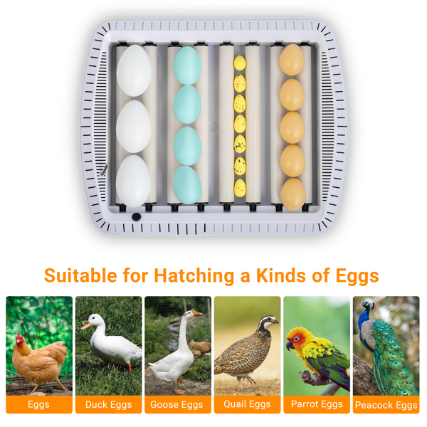 【Same model code：73539812】US 35 Egg Incubator with Automatic Egg Turning, Temperature and humidity Control, Water Alarm, Incubator for Hatching Eggs,Chickens,Ducks,Geese,Birds,pigeons and Quail Eggs