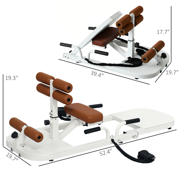  Sissy Squat Machine