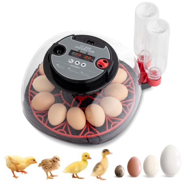 US 12 Egg Incubator with Automatic Egg Turning, Temperature and humidity Control,Auto Water Addition, LED Egg Candler, for Hatching Chickens,Ducks,Geese,Birds,pigeons and Quail Eggs