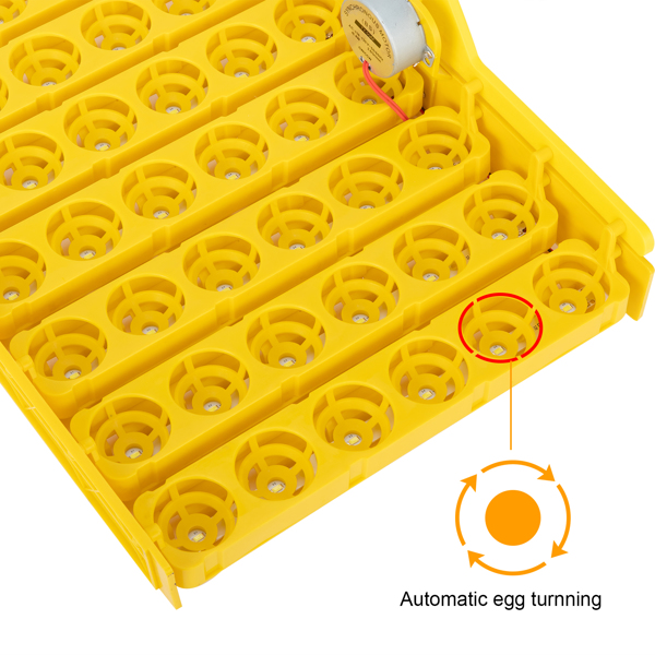  【same code：66032192】42-Egg Practical Fully Automatic Poultry Incubator with Egg Candler US Standard Yellow & & White & Transparent