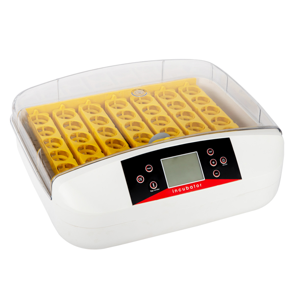  【same code：66032192】42-Egg Practical Fully Automatic Poultry Incubator with Egg Candler US Standard Yellow & & White & Transparent