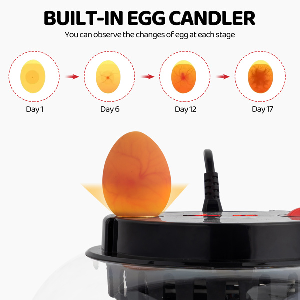 US 12 Egg Incubator with Automatic Egg Turning, Temperature and humidity Control,Auto Water Addition, LED Egg Candler, for Hatching Chickens,Ducks,Geese,Birds,pigeons and Quail Eggs