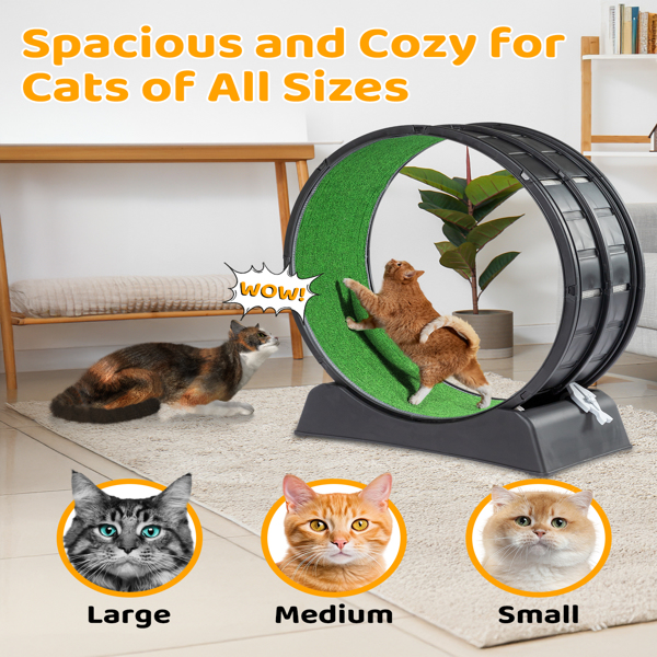 Cat Exercise Wheel, 39 inch Cat Wheels for Indoor Cats, Cat Treadmill Wheel Exerciser with Carpeted Runway, Plastic Cat Running Wheel for Cats Daily Exercise and Weight Loss, Black