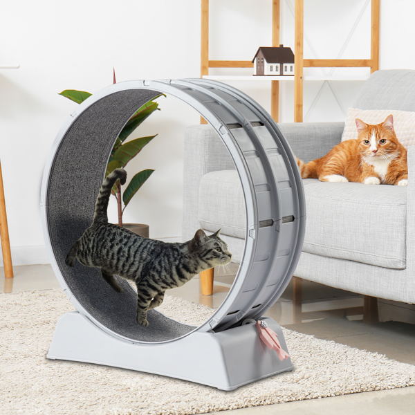 Cat Exercise Wheel, 31 inch Cat Wheels for Indoor Cats, Cat Treadmill Wheel Exerciser with Carpeted Runway, Plastic Cat Running Wheel for Cats Daily Exercise and Weight Loss, Gray