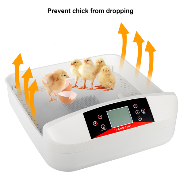 [Same code: 31238079]56-Egg Practical Fully Automatic Poultry Incubator with Egg Candler (US Standard) White