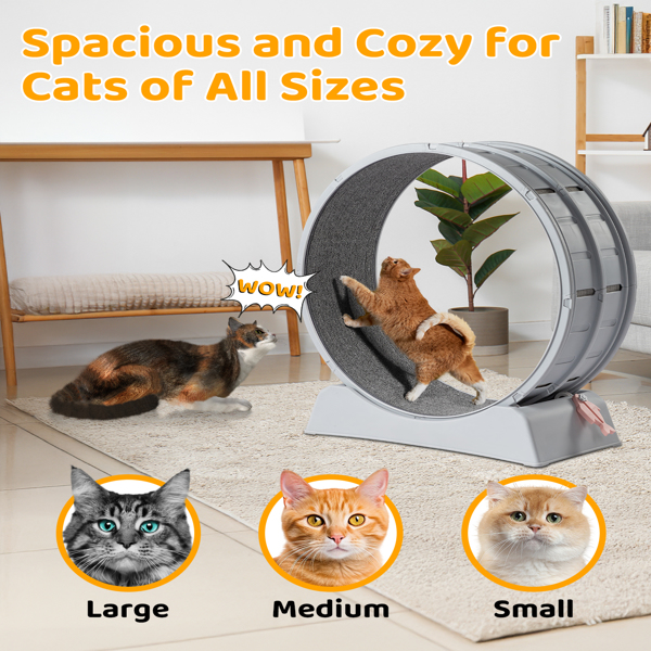 Cat Exercise Wheel, 31 inch Cat Wheels for Indoor Cats, Cat Treadmill Wheel Exerciser with Carpeted Runway, Plastic Cat Running Wheel for Cats Daily Exercise and Weight Loss, Gray