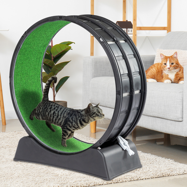 Cat Exercise Wheel, 39 inch Cat Wheels for Indoor Cats, Cat Treadmill Wheel Exerciser with Carpeted Runway, Plastic Cat Running Wheel for Cats Daily Exercise and Weight Loss, Black