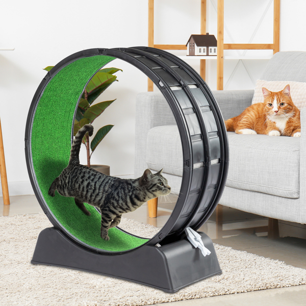 Cat Exercise Wheel, 31 inch Cat Wheels for Indoor Cats, Cat Treadmill Wheel Exerciser with Carpeted Runway, Plastic Cat Running Wheel for Cats Daily Exercise and Weight Loss, Black