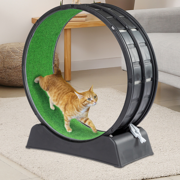 Cat Exercise Wheel, 39 inch Cat Wheels for Indoor Cats, Cat Treadmill Wheel Exerciser with Carpeted Runway, Plastic Cat Running Wheel for Cats Daily Exercise and Weight Loss, Black