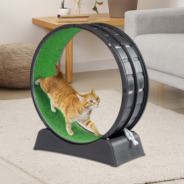 Cat Exercise Wheel, 31 inch Cat Wheels for Indoor Cats, Cat Treadmill Wheel Exerciser with Carpeted Runway, Plastic Cat Running Wheel for Cats Daily Exercise and Weight Loss, Black