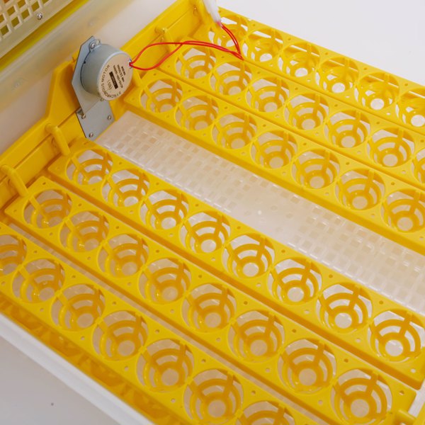 【same code：76829079】48-Egg Practical Fully Automatic Poultry Incubator (US Standard) Yellow & Transparent