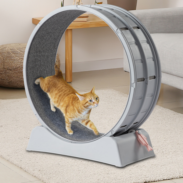 Cat Exercise Wheel, 31 inch Cat Wheels for Indoor Cats, Cat Treadmill Wheel Exerciser with Carpeted Runway, Plastic Cat Running Wheel for Cats Daily Exercise and Weight Loss, Gray