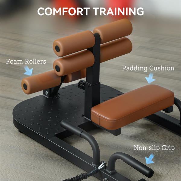  Sissy Squat Machine