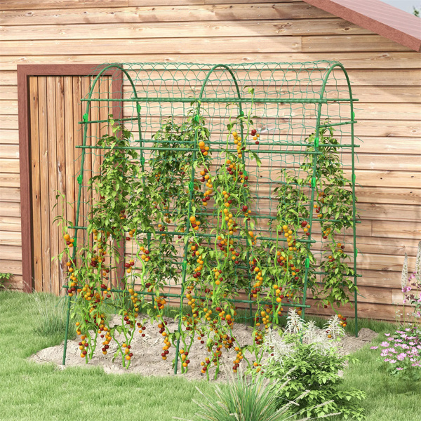 Outdoor Metal Garden Trellis with Climbing Net,57" x 66" x 81", Green 