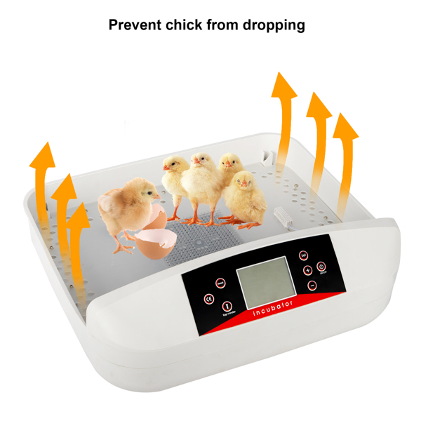  【same code：66032192】42-Egg Practical Fully Automatic Poultry Incubator with Egg Candler US Standard Yellow & & White & Transparent