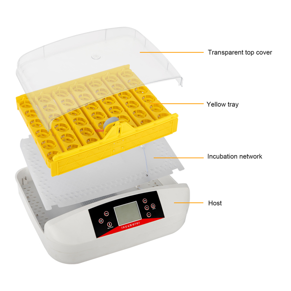  【same code：66032192】42-Egg Practical Fully Automatic Poultry Incubator with Egg Candler US Standard Yellow & & White & Transparent