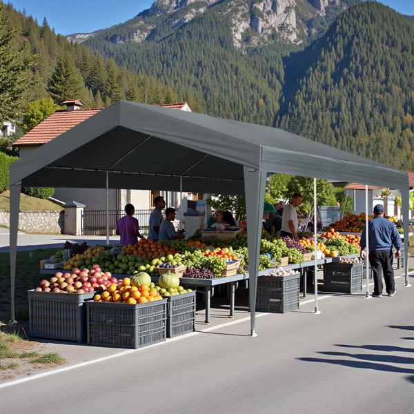 12X20FT  Carport Car Port Canopy Grey without Sidewalls